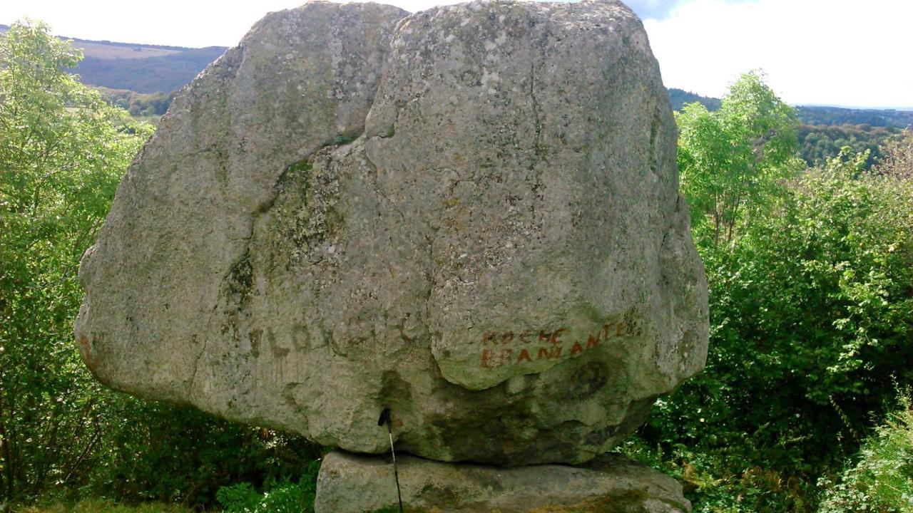Lilas, Gite Saint Antoine, Orcival, Entre Sancy Et Volcans. Extérieur photo